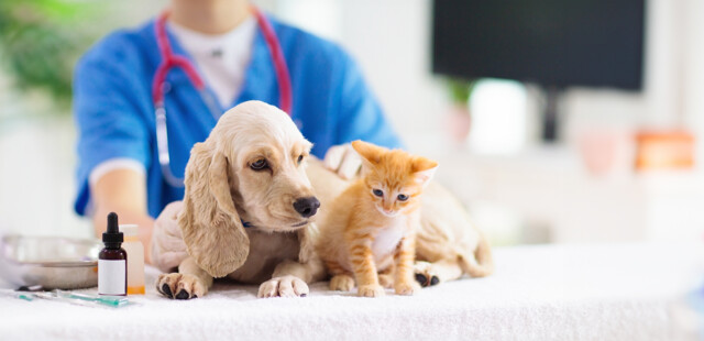 Prodotti per animali