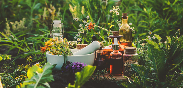 Omeopatia e fitoterapia